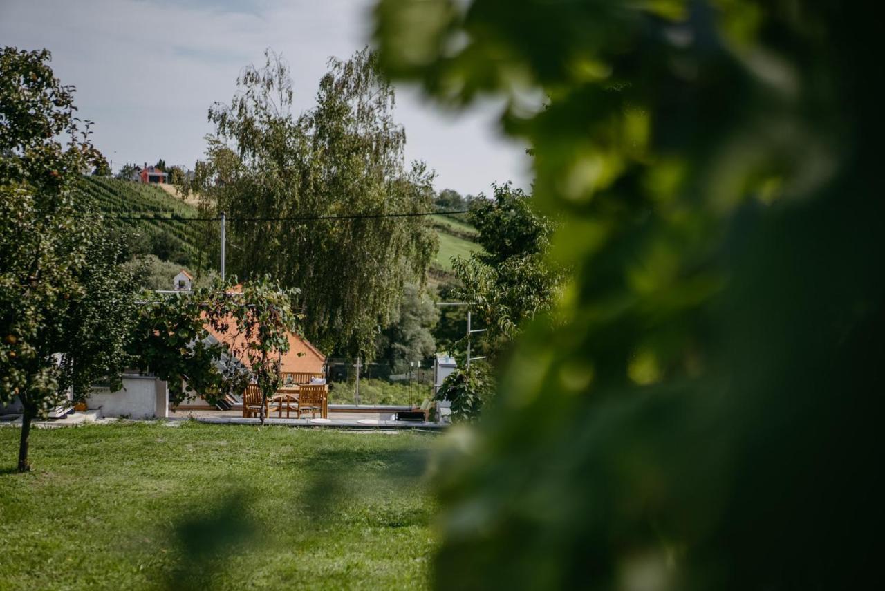 Wein Cottage Kellerstoeckl Eisenberg an der Pinka Eksteriør billede