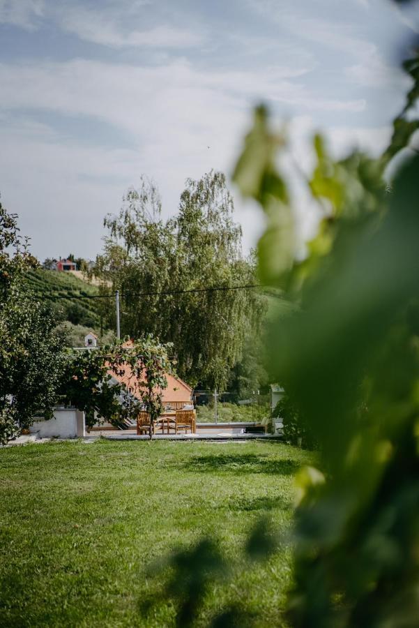 Wein Cottage Kellerstoeckl Eisenberg an der Pinka Eksteriør billede